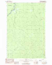 Download a high-resolution, GPS-compatible USGS topo map for Doucie Brook, ME (1989 edition)