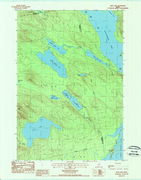 Download a high-resolution, GPS-compatible USGS topo map for Duck Lake, ME (1988 edition)
