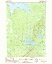 preview thumbnail of historical topo map of Washington County, ME in 1988