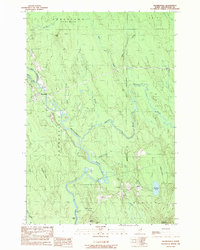 Download a high-resolution, GPS-compatible USGS topo map for Haynesville, ME (1989 edition)