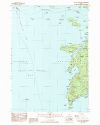 Download a high-resolution, GPS-compatible USGS topo map for Isle Au Haut West, ME (1983 edition)