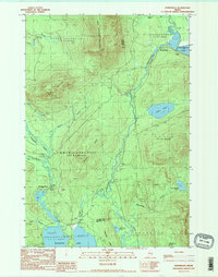 Download a high-resolution, GPS-compatible USGS topo map for Kennebago, ME (1990 edition)