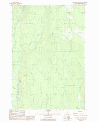 Download a high-resolution, GPS-compatible USGS topo map for Lookout Mountain, ME (1989 edition)