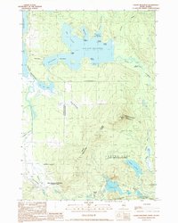 Download a high-resolution, GPS-compatible USGS topo map for Louise Mountain, ME (1990 edition)