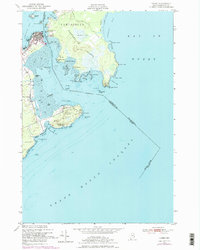 Download a high-resolution, GPS-compatible USGS topo map for Lubec, ME (1978 edition)