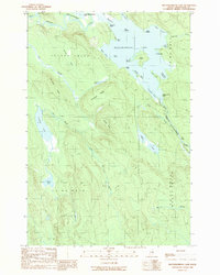 Download a high-resolution, GPS-compatible USGS topo map for Mattawamkeag Lake, ME (1989 edition)