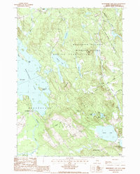 preview thumbnail of historical topo map of Washington County, ME in 1987