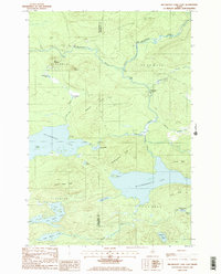 Download a high-resolution, GPS-compatible USGS topo map for Millinocket Lake East, ME (1986 edition)