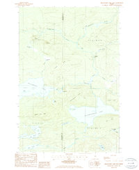 Download a high-resolution, GPS-compatible USGS topo map for Millinocket Lake East, ME (1986 edition)