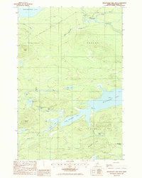 Download a high-resolution, GPS-compatible USGS topo map for Millinocket Lake West, ME (1986 edition)