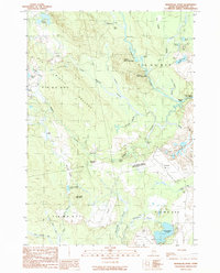 Download a high-resolution, GPS-compatible USGS topo map for Montegail Pond, ME (1990 edition)