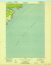 preview thumbnail of historical topo map of Washington County, ME in 1951