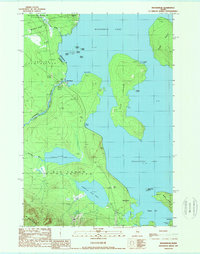 Download a high-resolution, GPS-compatible USGS topo map for Moosehead, ME (1989 edition)