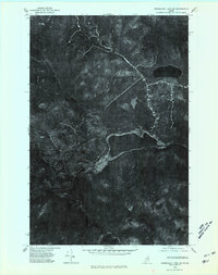 Download a high-resolution, GPS-compatible USGS topo map for Mooseleuk Lake NE, ME (1981 edition)