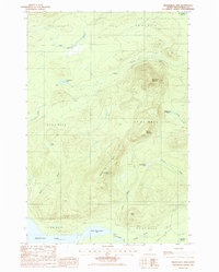 Download a high-resolution, GPS-compatible USGS topo map for Mooseleuk Mtn, ME (1986 edition)