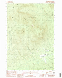 Download a high-resolution, GPS-compatible USGS topo map for Mount Abraham, ME (1985 edition)