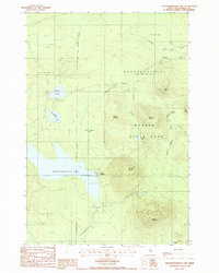Download a high-resolution, GPS-compatible USGS topo map for Nesowadnehunk Lake, ME (1988 edition)
