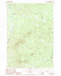 Download a high-resolution, GPS-compatible USGS topo map for New Vineyard, ME (1989 edition)