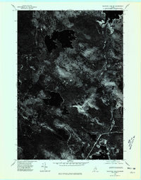 Download a high-resolution, GPS-compatible USGS topo map for Nicatous Lake SE, ME (1980 edition)