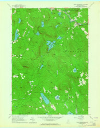 Download a high-resolution, GPS-compatible USGS topo map for North Waterford, ME (1964 edition)