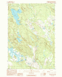 Download a high-resolution, GPS-compatible USGS topo map for Northeast Bluff, ME (1990 edition)