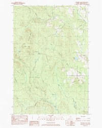 Download a high-resolution, GPS-compatible USGS topo map for Packard Lake, ME (1984 edition)