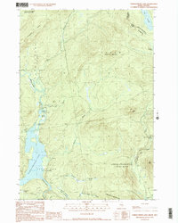 Download a high-resolution, GPS-compatible USGS topo map for Parmachenee Lake, ME (1990 edition)