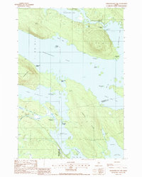 Download a high-resolution, GPS-compatible USGS topo map for Pemadumcook Lake, ME (1988 edition)