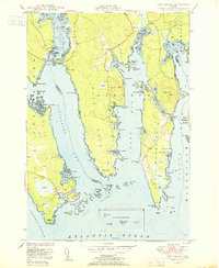Download a high-resolution, GPS-compatible USGS topo map for Petit Manan, ME (1950 edition)