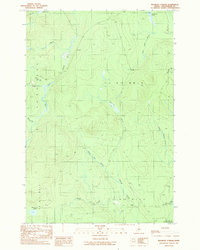 Download a high-resolution, GPS-compatible USGS topo map for Ragmuff Stream, ME (1989 edition)