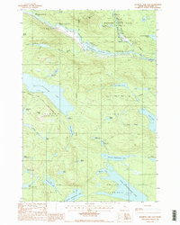Download a high-resolution, GPS-compatible USGS topo map for Rainbow Lake East, ME (1988 edition)
