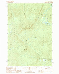 Download a high-resolution, GPS-compatible USGS topo map for Rump Mountain, ME (1989 edition)