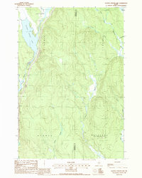 Download a high-resolution, GPS-compatible USGS topo map for Salmon Stream Lake, ME (1988 edition)
