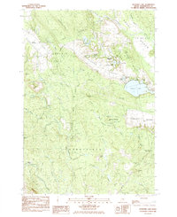 preview thumbnail of historical topo map of Washington County, ME in 1984