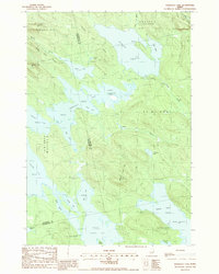 preview thumbnail of historical topo map of Washington County, ME in 1988