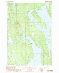 Download a high-resolution, GPS-compatible USGS topo map for Seboeis Lake, ME (1988 edition)