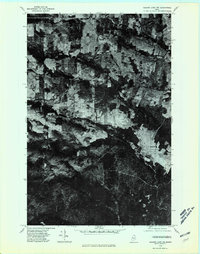 Download a high-resolution, GPS-compatible USGS topo map for Square Lake NW, ME (1981 edition)