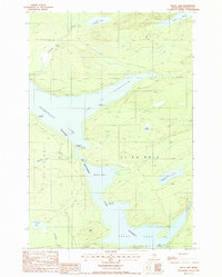 Download a high-resolution, GPS-compatible USGS topo map for Telos Lake, ME (1988 edition)