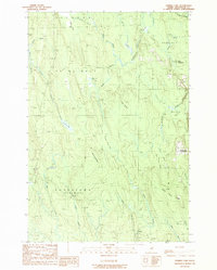 Download a high-resolution, GPS-compatible USGS topo map for Tenmile Lake, ME (1989 edition)