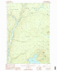 Download a high-resolution, GPS-compatible USGS topo map for The Forks, ME (1988 edition)
