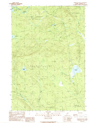 Download a high-resolution, GPS-compatible USGS topo map for Tomhegan Pond, ME (1989 edition)