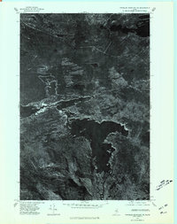 Download a high-resolution, GPS-compatible USGS topo map for Traveler Mountain NE, ME (1981 edition)