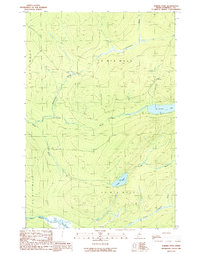 Download a high-resolution, GPS-compatible USGS topo map for Turner Pond, ME (1989 edition)