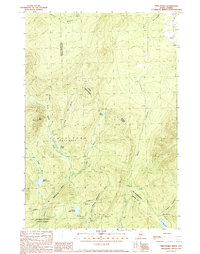 Download a high-resolution, GPS-compatible USGS topo map for Twin Peaks, ME (1990 edition)
