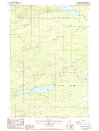 Download a high-resolution, GPS-compatible USGS topo map for Webster Lake, ME (1988 edition)