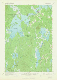 Download a high-resolution, GPS-compatible USGS topo map for Big Lake, ME (1966 edition)