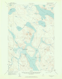 Download a high-resolution, GPS-compatible USGS topo map for Chesuncook, ME (1961 edition)