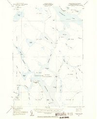 Download a high-resolution, GPS-compatible USGS topo map for Chesuncook, ME (1956 edition)