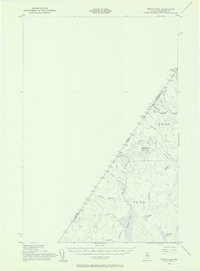 Download a high-resolution, GPS-compatible USGS topo map for Depot Lake, ME (1956 edition)