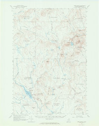 Download a high-resolution, GPS-compatible USGS topo map for Howe Brook, ME (1968 edition)